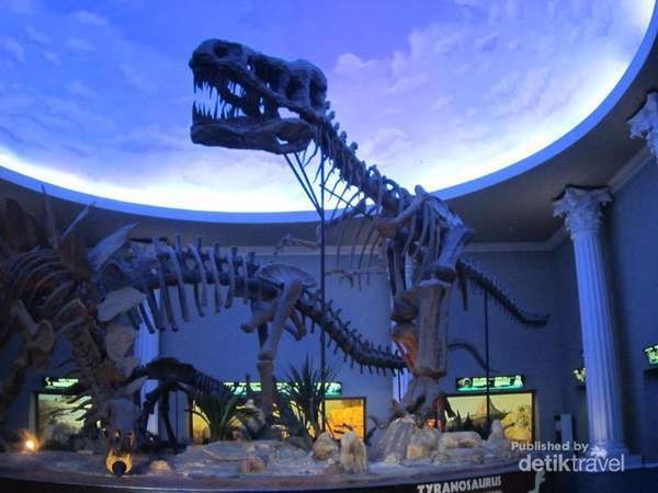 Kerangka Dinosaurus di Museum Satwa Jatim Park 2 (Martha Simandjuntak/d'Traveler) Kerangka Dinosaurus di Museum Satwa Jatim Park 2 (Martha Simandjuntak/d'Traveler)