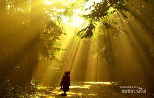 6 Tempat Asyik di Bogor untuk Akhir Pekan