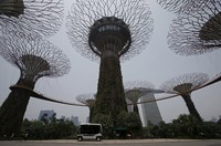 Sebuah mobil menjemput orang di Gardens by the Bay. Singapura dengan populasi 5,3 juta penduduk tidak banyak yang berprofesi sebagai sopir bus atau truk. Hal itu tentu berkaitan nantinya dengan transportasi publik utamanya bus jika profesi sebagai sopir tidak banyak diminati. REUTERS/Edgar Su.