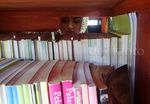 Terminal Bulupitu Purwokerto Dilengkapi Perpustakaan
