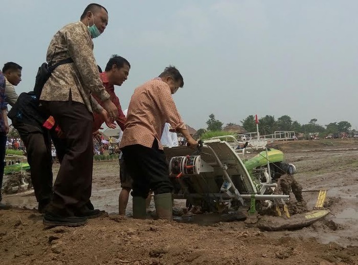 Turun ke Sawah, JK Jadi Petani Dadakan di Ogan Ilir