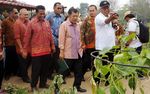 JK Hadiri Peringatan Hari Pangan di Palembang