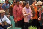 JK Hadiri Peringatan Hari Pangan di Palembang
