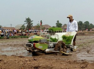 35 Tahun Jadi Anggota FAO, Apa Manfaat Bagi Indonesia?