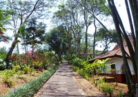 Setidaknya ada 23 villa di sini yang dikelilingi pepohonan dan nuansa hijau alami. Jalan setapak yang terbuat dari batu dan pepohonan berjejer rapi di setiap sudut (Shafa/detikTravel)