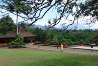 Rerumputan hijau dengan barisan pepohonan dan pegunungan di kejauhan tersaji di hampir setiap tempat. Segar! (Shafa/detikTravel)