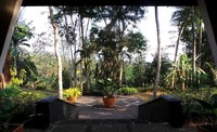 Seperti ini pemandangan yang tersaji di depan kamar villa. Sudah tentu semilir angin dan kicau burung terdengar jelas dari sini (Shafa/detikTravel)