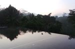 Resor Asri di Magelang dengan Rasa Ubud