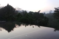 Infinity pool jadi salah satu andalan resor ini. Kolam renang seperti ini sering diidentikkan dengan kolam renang resor yang ada di Ubud (Shafa/detikTravel)