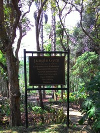 Inilah Jungle Gym. Tak ada fitness di dalam ruangan. Di sini, fitness dilakukan di luar ruangan, dengan alat yang terbuat dari kayu atau memanfaatkan pohon yang ada. Keren! (Shafa/detikTravel)