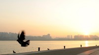 Beda lagi dengan sunset di Korea Selatan. Salah satu tempat terbaik menikmati momen mentari tenggelam adalah di Sungai Han (Ari Saputra/detikTravel)