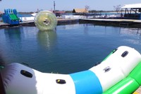 Ada juga bola gelembung yang dimasuki oleh traveler. Semua aktivitas tambahan ini sudah termasuk paket wisata menanam terumbu karang yang disiapkan pihak pengelola (Wahyu/detikTravel)