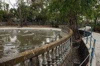 Setidaknya terdapat tiga kolam besar yang berfungsi sebagai tempat penangkaran buaya. Di setiap kolamnya dapat dijumpai papan penanda, yang menjelaskan asal dari buaya tersebut (Randy/detikTravel)
