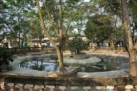 Namun selain unik, kondisi Taman Buaya Indonesia Jaya dapat dikatakan memprihatinkan. Selain bau amis yang mengurangi kenyamanan, tampak kolam dan taman yang seakan tidak terawat (Randy/detikTravel)