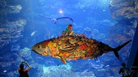 Yodogawa Technique, menggunakan sampah-sampah hasil temuannya di sungai Yodogawa untuk menciptakan sebuah ikan raksasa yang diberi nama 'Sazare Fish' yang dipamerkan di Kyoto Aquarium.