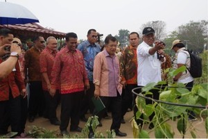 Harga Pangan Relatif Stabil, JK Apresiasi Kementan