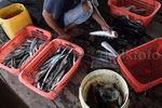 Melihat Perkampungan Nelayan Kaliadem