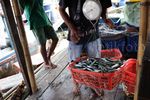 Melihat Perkampungan Nelayan Kaliadem