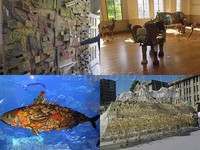 Selain itu, detikHOT juga melihat pameran seni yang dihelat di Sekolah Dasar Rissei, Kyoto Aquarium hingga Kyoto City Hall. Delia Arnindita Larasati/detikHOT.