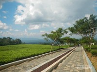 Tangga Seribu Pagaralam Tangga Seribu Pagaralam