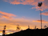 Desa Ugimba berada di Kabupaten Intan Jaya, Pegunungan Tengah. Desa ini ada di ketinggian 2.100 mdpl dan desa terujung sebelum jalur pendakian Carstensz. Saat pagi hari, pemandangan desa ini sangat indah! (Afif/detikTravel)