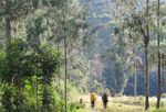 Pagi yang Bernuansa Magis di Pedalaman Papua