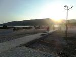 Kerbau Jadi Turis di Pantai Kuta, Lombok