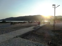 Kawanan kerbau tadi ternyata dipimpin oleh seorang penggembala yang menggiringnya dari belakang. Traveler bisa berkunjung ke Pantai Kuta yang terletak di desa Kuta, Kec. Pujut, Kab Lombok Tengah untuk berwisata sambil melihat kerbau, itu jika Anda cukup beruntung. (Wahyu/detikTravel)
