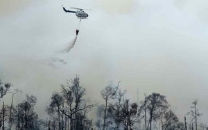 Anak Usaha Sampoerna Agro Digugat Rp 1 T Gara-gara Kebakaran Hutan