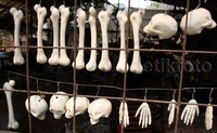 Beragam replika organ tubuh, seperti tangan, kakim kepala, dll diproduksi di tempat ini. Lamhot Aritonang/detikFoto.