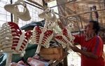 Pembuatan Replika Organ Tubuh