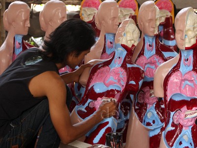 Pembuatan Replika Organ Tubuh
