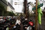Parkir Liar Memakan Badan Jalan Teluk Betung