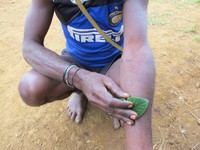 Bagaimana cara memakainya? Bagian yang ada duri, digosokan ke bagian tubuh yang pegal. Boleh di kaki, tangan, atau punggung. Malah, orang Papua memakainya ke seluruh badan! (Afif/detikTravel)