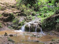 Percaya tak percaya, dulu ketika suku Moni bermarga Tipagau datang ke Ugimba, air tersebut tidak ada. Begitu mereka menetap di sana, airnya baru keluar dan selalu berpindah-pindah mengikuti ke tempat-tempat mereka (Afif/detikTravel)
