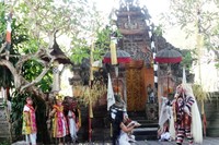 Dewi Kunti yang dirasuki roh jahat, malah menjadi beringas dan ingin mengorbankan anaknya untuk menjadi tumbal Rangda. Rangda adalah presentasi angkara murka jahat yang rela melakukan apa saja untuk memperoleh kesaktian dan kekuatan (Wahyu/detikTravel)