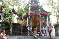 Namun yang tidak diketahui Rangda, Sahadewa telah diberikan keabadian dan kesaktian oleh Dewa. Sehingga sekuat tenaga Rangda ingin membunuh Sahadewa, usahanya tidak akan berhasil. Sahadewa pun berubah wujud menjadi Barong, dan berhasil mengalahkan Rangda (Wahyu/detikTravel)