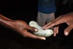 Bukti Warga Raja Ampat Cinta Laut