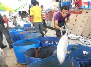 Dari Tukang Pungut Uang Jasa Pelabuhan Jadi Pebisnis Produktif