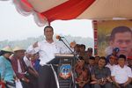 Panen Raya Padi di Kolaka