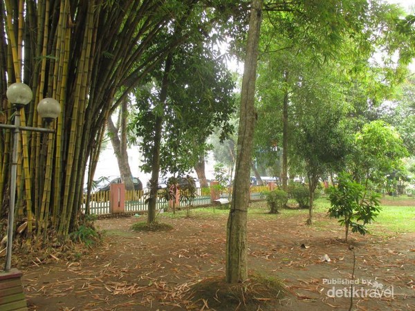 Taman Beringin Yang Segar Segar Di Kota Medan