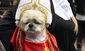 Seru! New York Gelar Parade Halloween untuk Anjing