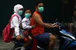 Pekatnya Kabut Asap di Jambi