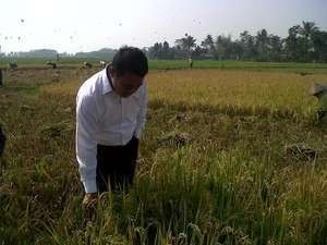 Impor Beras untuk Cadangan, Mentan: Bentuk Pemerintah Sayang Rakyat