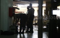 Selain polisi yang berjaga di depan kantin, Tim Inafis dan Tim Gegana sedang menyisir lokasi ledakan. Saat ini lokasi sudah digaris polisi dan dijaga aparat bersenjata. Reno Hastukrisnapati/detikFoto.