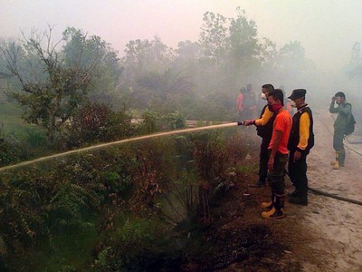 Pemadaman Kebakaran Hutan di Kalteng