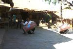 Tari Penyambutan Tamu di Desa Sade, Lombok