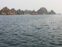 Dari Kampung Harapan Jaya, Misool Selatan, wisatawan bisa berlayar sekitar 15 menit naik speedboat. Batu ini ukurannya besar, sehingga tidak terlalu sulit ditemukan (Kurnia/detikTravel)