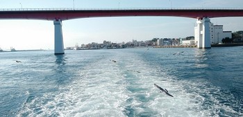 OnePlus X akan dijual resmi di Indonesia mulai 12 Desember mendatang di Lazada.