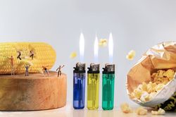 Potret Keseharian Manusia Mini yang Menggelitik